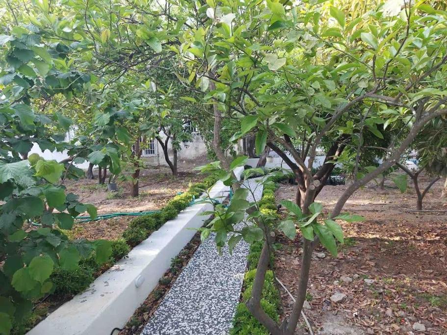 Mel'S Garden House In The Heart Of The City Bodrum Exterior photo